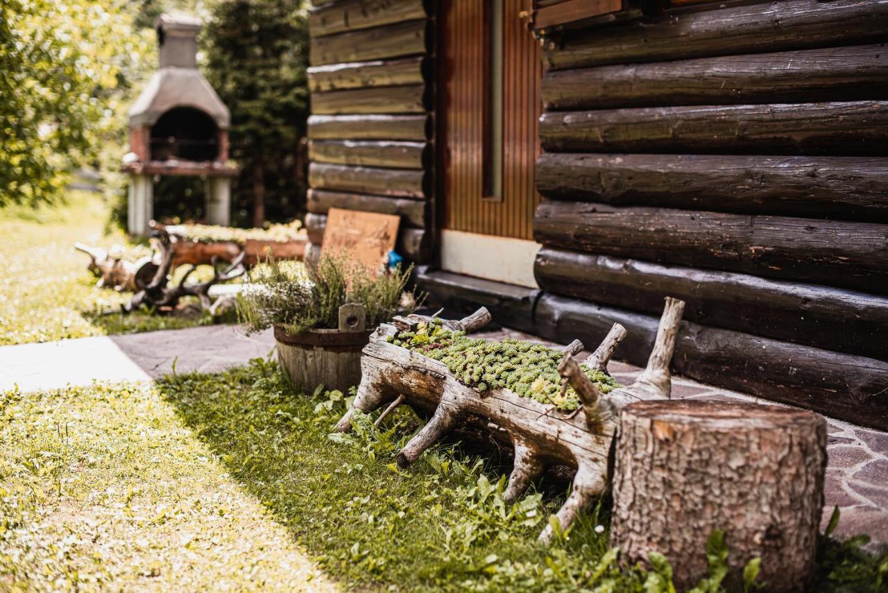 Cottage Hidden Pearl Zgornje Jezersko Kültér fotó